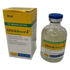 لینکوجکت اس | Lincoject S (رویان دارو)